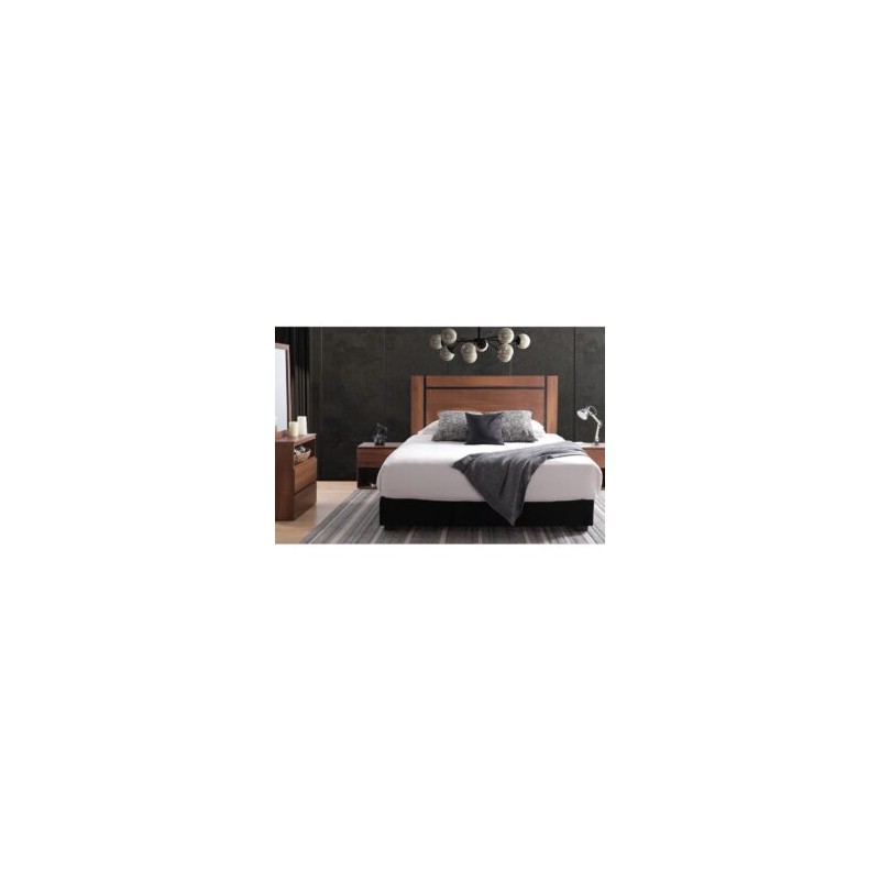 RECAMARA DMONT VERMONT PAROTA